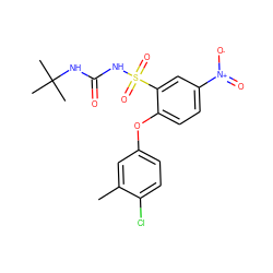 Cc1cc(Oc2ccc([N+](=O)[O-])cc2S(=O)(=O)NC(=O)NC(C)(C)C)ccc1Cl ZINC000028710511