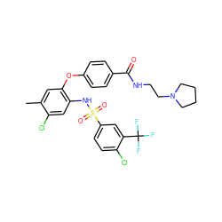 Cc1cc(Oc2ccc(C(=O)NCCN3CCCC3)cc2)c(NS(=O)(=O)c2ccc(Cl)c(C(F)(F)F)c2)cc1Cl ZINC000073165023