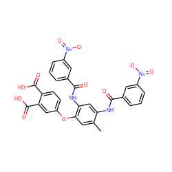 Cc1cc(Oc2ccc(C(=O)O)c(C(=O)O)c2)c(NC(=O)c2cccc([N+](=O)[O-])c2)cc1NC(=O)c1cccc([N+](=O)[O-])c1 ZINC000027103658