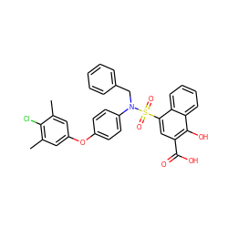 Cc1cc(Oc2ccc(N(Cc3ccccc3)S(=O)(=O)c3cc(C(=O)O)c(O)c4ccccc34)cc2)cc(C)c1Cl ZINC000653741214