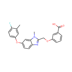 Cc1cc(Oc2ccc3nc(COc4cccc(C(=O)O)c4)n(C)c3c2)ccc1F ZINC000204542273