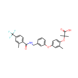 Cc1cc(Oc2cccc(CNC(=O)c3ccc(C(F)(F)F)cc3C)c2)ccc1OC(C)(C)C(=O)O ZINC000028825460