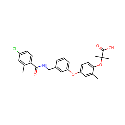 Cc1cc(Oc2cccc(CNC(=O)c3ccc(Cl)cc3C)c2)ccc1OC(C)(C)C(=O)O ZINC000028825469