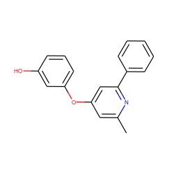 Cc1cc(Oc2cccc(O)c2)cc(-c2ccccc2)n1 ZINC000095576518