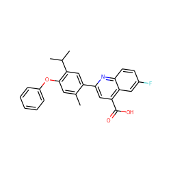 Cc1cc(Oc2ccccc2)c(C(C)C)cc1-c1cc(C(=O)O)c2cc(F)ccc2n1 ZINC000095921073