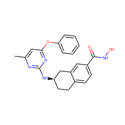 Cc1cc(Oc2ccccc2)nc(N[C@@H]2CCc3ccc(C(=O)NO)cc3C2)n1 ZINC000113850346