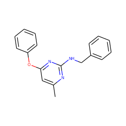 Cc1cc(Oc2ccccc2)nc(NCc2ccccc2)n1 ZINC000000073470