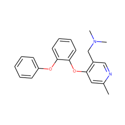 Cc1cc(Oc2ccccc2Oc2ccccc2)c(CN(C)C)cn1 ZINC000029125008