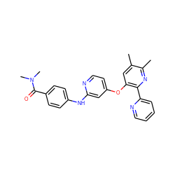 Cc1cc(Oc2ccnc(Nc3ccc(C(=O)N(C)C)cc3)c2)c(-c2ccccn2)nc1C ZINC000045300814