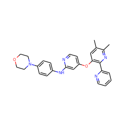 Cc1cc(Oc2ccnc(Nc3ccc(N4CCOCC4)cc3)c2)c(-c2ccccn2)nc1C ZINC000045291170