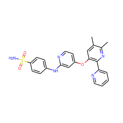 Cc1cc(Oc2ccnc(Nc3ccc(S(N)(=O)=O)cc3)c2)c(-c2ccccn2)nc1C ZINC000045298738