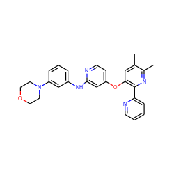 Cc1cc(Oc2ccnc(Nc3cccc(N4CCOCC4)c3)c2)c(-c2ccccn2)nc1C ZINC000045285289