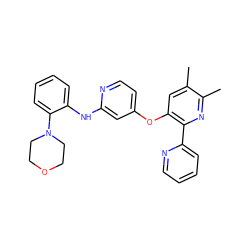 Cc1cc(Oc2ccnc(Nc3ccccc3N3CCOCC3)c2)c(-c2ccccn2)nc1C ZINC000045300790