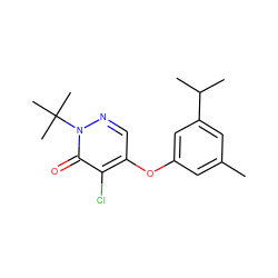 Cc1cc(Oc2cnn(C(C)(C)C)c(=O)c2Cl)cc(C(C)C)c1 ZINC000000384921