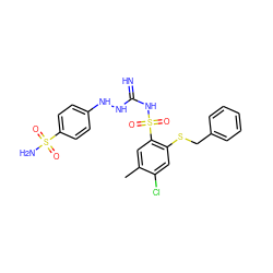 Cc1cc(S(=O)(=O)NC(=N)NNc2ccc(S(N)(=O)=O)cc2)c(SCc2ccccc2)cc1Cl ZINC000103230266