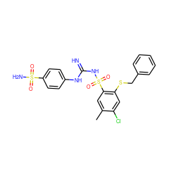 Cc1cc(S(=O)(=O)NC(=N)Nc2ccc(S(N)(=O)=O)cc2)c(SCc2ccccc2)cc1Cl ZINC000103230257