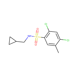 Cc1cc(S(=O)(=O)NCC2CC2)c(Cl)cc1Cl ZINC000000091221