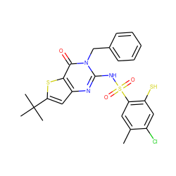 Cc1cc(S(=O)(=O)Nc2nc3cc(C(C)(C)C)sc3c(=O)n2Cc2ccccc2)c(S)cc1Cl ZINC000101574131