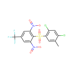 Cc1cc(S(=O)(=O)c2c([N+](=O)[O-])cc(C(F)(F)F)cc2[N+](=O)[O-])c(Cl)cc1Cl ZINC000008626709