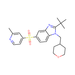 Cc1cc(S(=O)(=O)c2ccc3c(c2)nc(C(C)(C)C)n3CC2CCOCC2)ccn1 ZINC000029047920