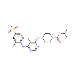 Cc1cc(S(C)(=O)=O)cnc1Nc1ncnc(OC2CCN(C(=O)OC(C)C)CC2)c1C ZINC000082148877