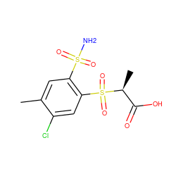 Cc1cc(S(N)(=O)=O)c(S(=O)(=O)[C@@H](C)C(=O)O)cc1Cl ZINC000034799854