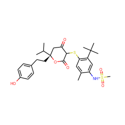 Cc1cc(SC2C(=O)C[C@@](CCc3ccc(O)cc3)(C(C)C)OC2=O)c(C(C)(C)C)cc1NS(C)(=O)=O ZINC000038155912