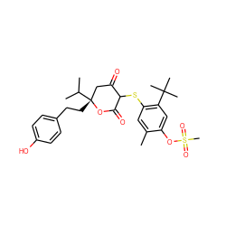 Cc1cc(SC2C(=O)C[C@@](CCc3ccc(O)cc3)(C(C)C)OC2=O)c(C(C)(C)C)cc1OS(C)(=O)=O ZINC000038155902