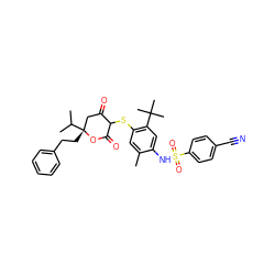 Cc1cc(SC2C(=O)C[C@@](CCc3ccccc3)(C(C)C)OC2=O)c(C(C)(C)C)cc1NS(=O)(=O)c1ccc(C#N)cc1 ZINC000100987441