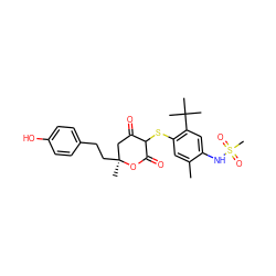 Cc1cc(SC2C(=O)C[C@](C)(CCc3ccc(O)cc3)OC2=O)c(C(C)(C)C)cc1NS(C)(=O)=O ZINC000101346432