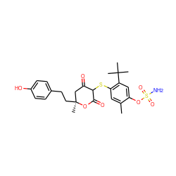 Cc1cc(SC2C(=O)C[C@](C)(CCc3ccc(O)cc3)OC2=O)c(C(C)(C)C)cc1OS(N)(=O)=O ZINC000026284244