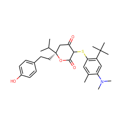 Cc1cc(SC2C(=O)C[C@](CCc3ccc(O)cc3)(C(C)C)OC2=O)c(C(C)(C)C)cc1N(C)C ZINC000038146863