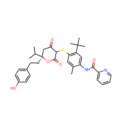 Cc1cc(SC2C(=O)C[C@](CCc3ccc(O)cc3)(C(C)C)OC2=O)c(C(C)(C)C)cc1NC(=O)c1ccccn1 ZINC000038146868