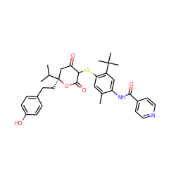 Cc1cc(SC2C(=O)C[C@](CCc3ccc(O)cc3)(C(C)C)OC2=O)c(C(C)(C)C)cc1NC(=O)c1ccncc1 ZINC000038146873