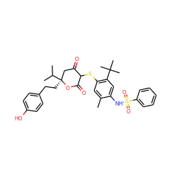 Cc1cc(SC2C(=O)C[C@](CCc3ccc(O)cc3)(C(C)C)OC2=O)c(C(C)(C)C)cc1NS(=O)(=O)c1ccccc1 ZINC000038155907