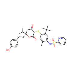 Cc1cc(SC2C(=O)C[C@](CCc3ccc(O)cc3)(C(C)C)OC2=O)c(C(C)(C)C)cc1NS(=O)(=O)c1ccccn1 ZINC000038155924