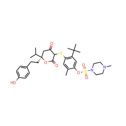 Cc1cc(SC2C(=O)C[C@](CCc3ccc(O)cc3)(C(C)C)OC2=O)c(C(C)(C)C)cc1OS(=O)(=O)N1CCN(C)CC1 ZINC000055843140