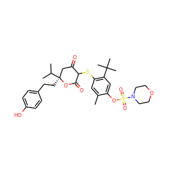 Cc1cc(SC2C(=O)C[C@](CCc3ccc(O)cc3)(C(C)C)OC2=O)c(C(C)(C)C)cc1OS(=O)(=O)N1CCOCC1 ZINC000026290511