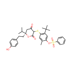 Cc1cc(SC2C(=O)C[C@](CCc3ccc(O)cc3)(C(C)C)OC2=O)c(C(C)(C)C)cc1OS(=O)(=O)c1ccccc1 ZINC000027978849