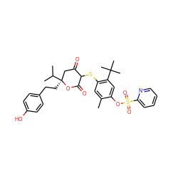 Cc1cc(SC2C(=O)C[C@](CCc3ccc(O)cc3)(C(C)C)OC2=O)c(C(C)(C)C)cc1OS(=O)(=O)c1ccccn1 ZINC000038155914