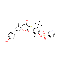 Cc1cc(SC2C(=O)C[C@](CCc3ccc(O)cc3)(C(C)C)OC2=O)c(C(C)(C)C)cc1OS(=O)(=O)c1cccnc1 ZINC000027993870