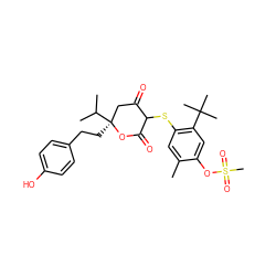 Cc1cc(SC2C(=O)C[C@](CCc3ccc(O)cc3)(C(C)C)OC2=O)c(C(C)(C)C)cc1OS(C)(=O)=O ZINC000038155901