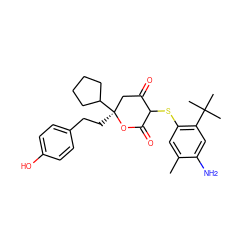 Cc1cc(SC2C(=O)C[C@](CCc3ccc(O)cc3)(C3CCCC3)OC2=O)c(C(C)(C)C)cc1N ZINC000029310629