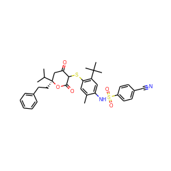 Cc1cc(SC2C(=O)C[C@](CCc3ccccc3)(C(C)C)OC2=O)c(C(C)(C)C)cc1NS(=O)(=O)c1ccc(C#N)cc1 ZINC000100987440