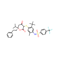 Cc1cc(SC2C(=O)C[C@](CCc3ccccc3)(C(C)C)OC2=O)c(C(C)(C)C)cc1NS(=O)(=O)c1ccc(C(F)(F)F)cc1 ZINC000027981931