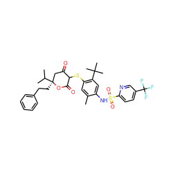 Cc1cc(SC2C(=O)C[C@](CCc3ccccc3)(C(C)C)OC2=O)c(C(C)(C)C)cc1NS(=O)(=O)c1ccc(C(F)(F)F)cn1 ZINC000058641359