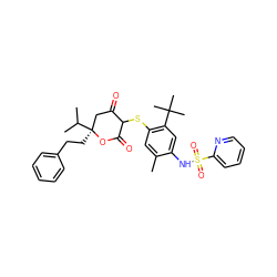 Cc1cc(SC2C(=O)C[C@](CCc3ccccc3)(C(C)C)OC2=O)c(C(C)(C)C)cc1NS(=O)(=O)c1ccccn1 ZINC000100053572