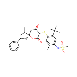 Cc1cc(SC2C(=O)C[C@](CCc3ccccc3)(C(C)C)OC2=O)c(C(C)(C)C)cc1NS(C)(=O)=O ZINC000100986600