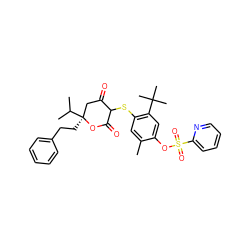 Cc1cc(SC2C(=O)C[C@](CCc3ccccc3)(C(C)C)OC2=O)c(C(C)(C)C)cc1OS(=O)(=O)c1ccccn1 ZINC000100053527