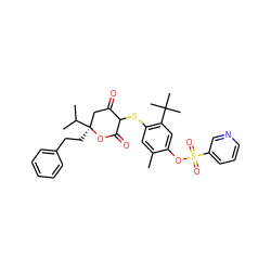 Cc1cc(SC2C(=O)C[C@](CCc3ccccc3)(C(C)C)OC2=O)c(C(C)(C)C)cc1OS(=O)(=O)c1cccnc1 ZINC000100053524